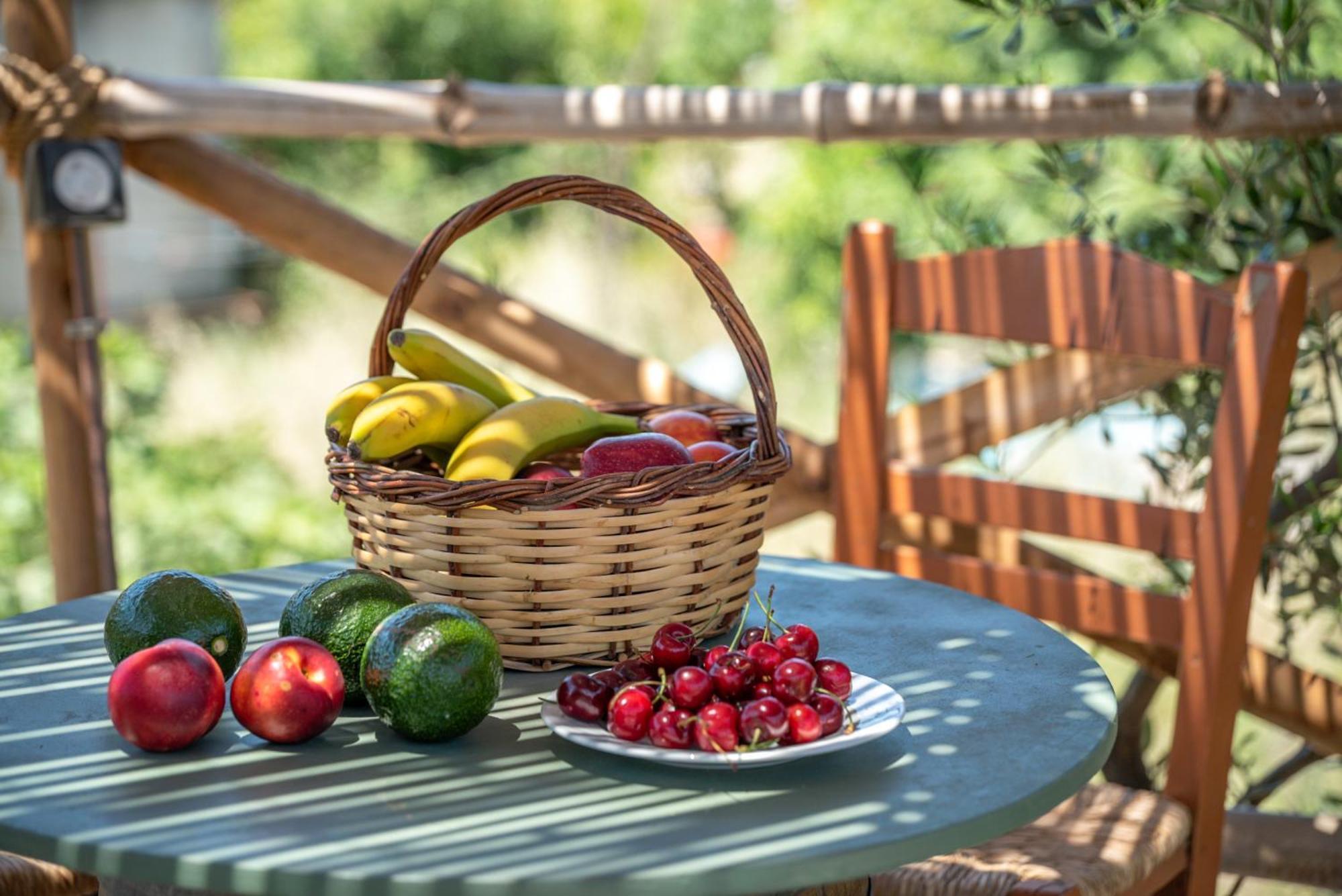 Eco Olive Treehouse Campsite *