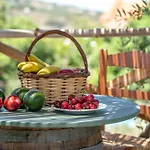 Eco Olive Treehouse
