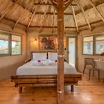 Eco Olive Treehouse