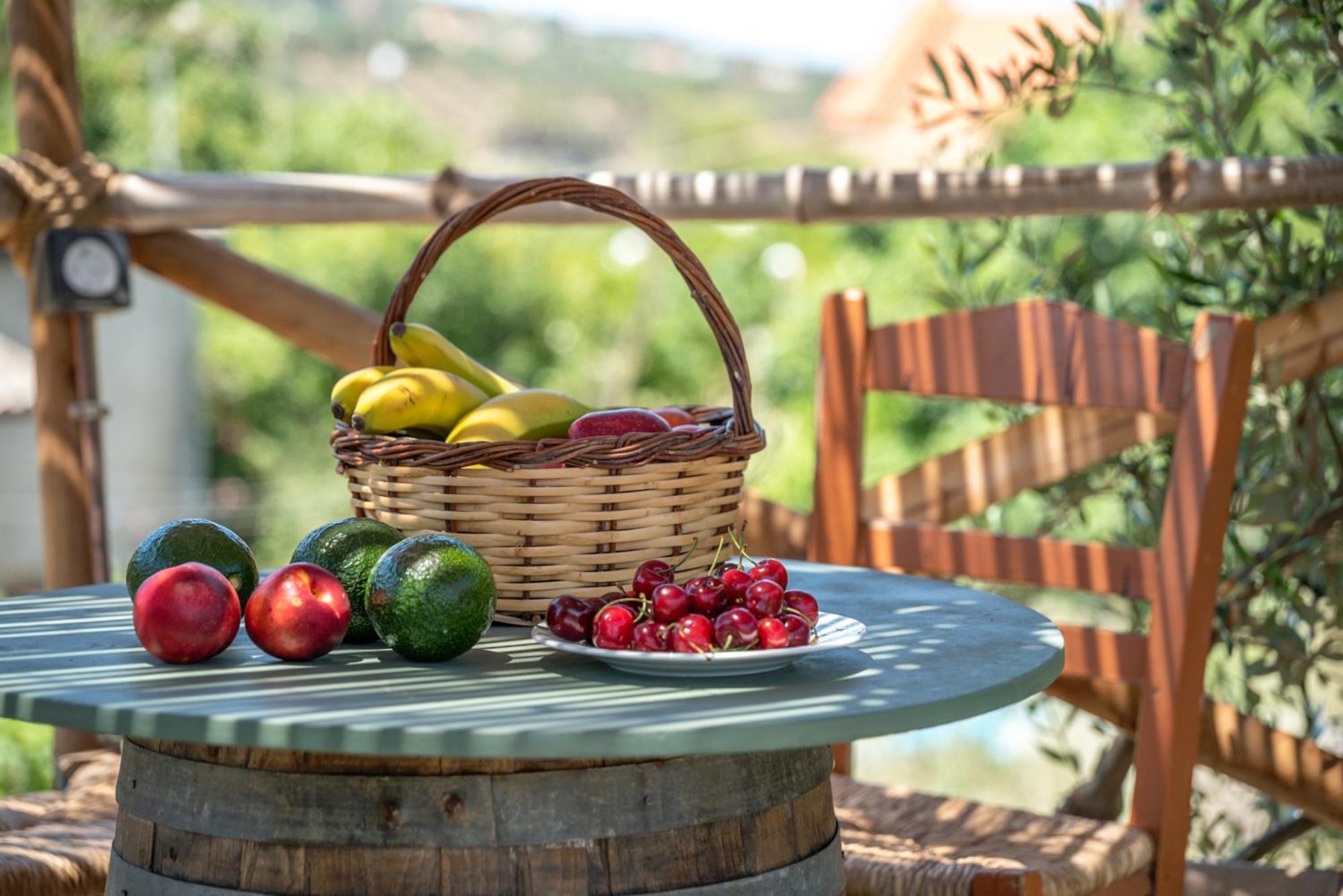 Eco Olive Treehouse Camping Chania (Crete)