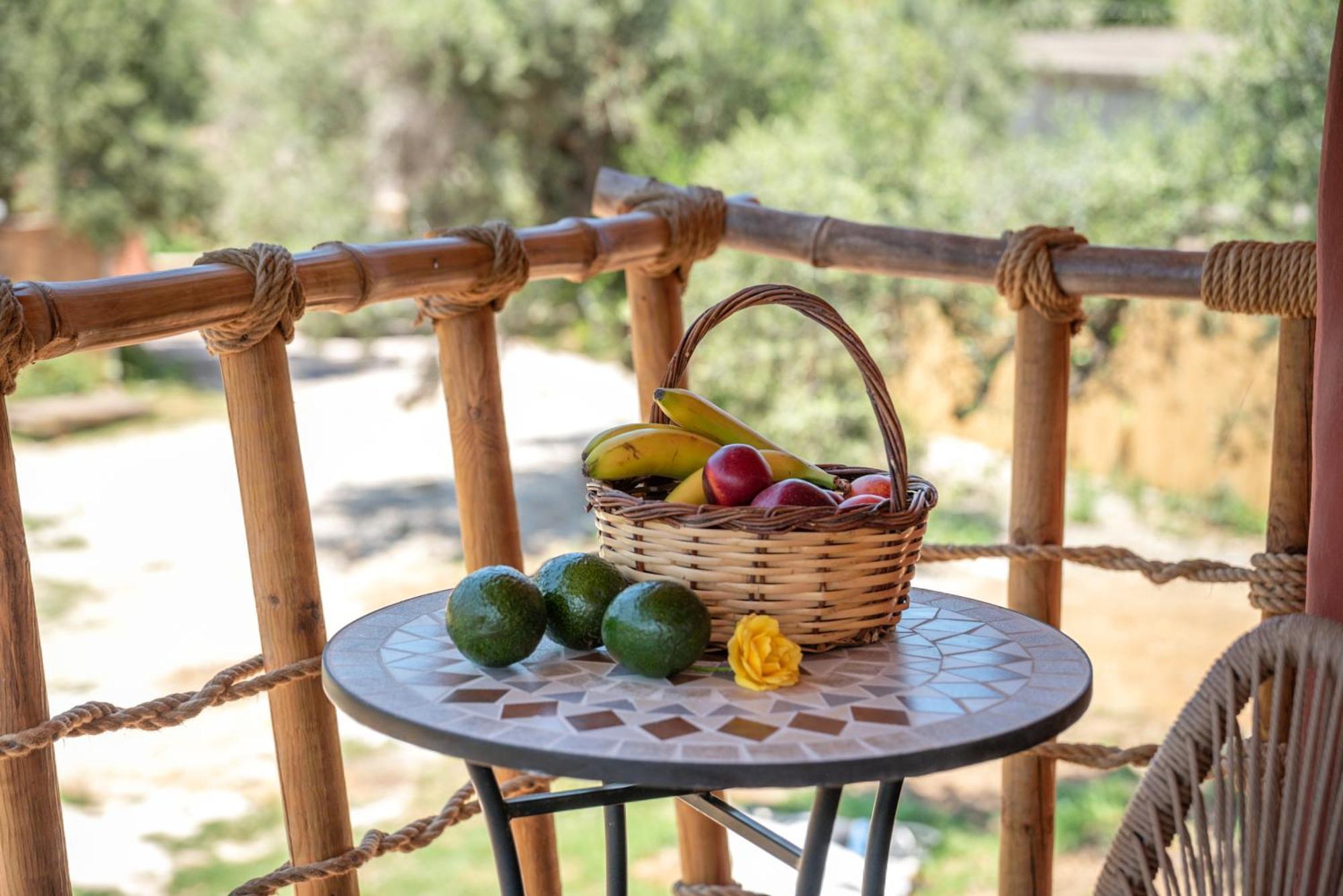 Eco Olive Treehouse Camping