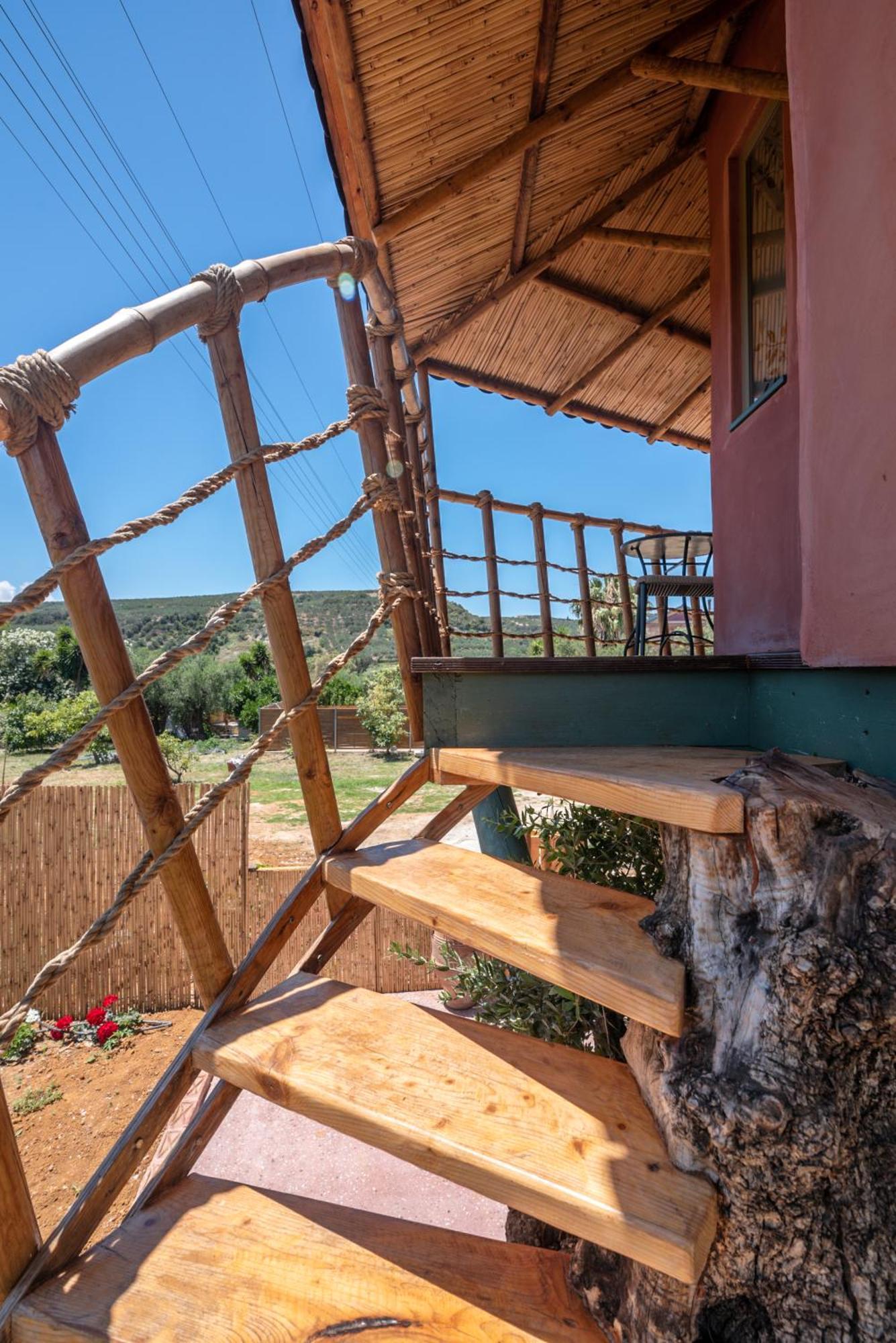 Eco Olive Treehouse Camping *