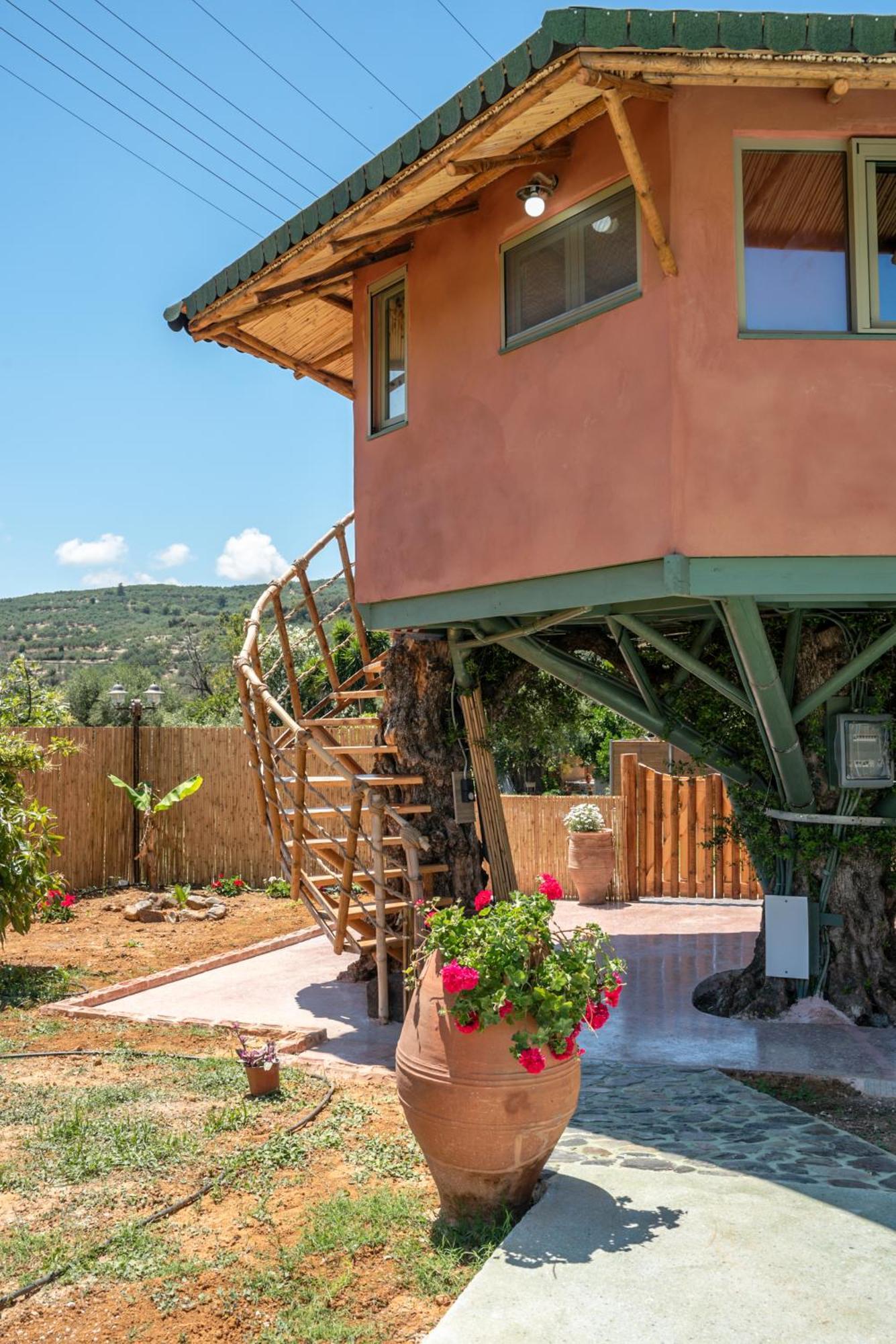 Eco Olive Treehouse Camping